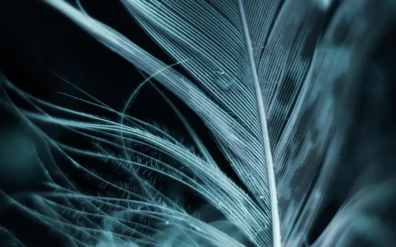 把妹地图：我把你当朋友，你居然想睡我