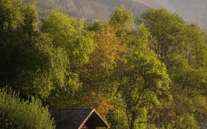 毒舌：他爱不爱你，你不知道吗？