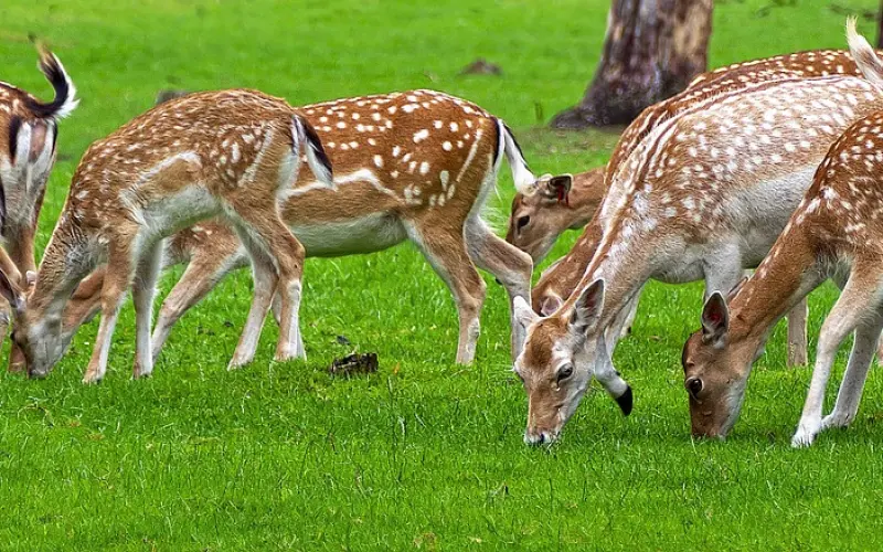 低配，正在毁掉你的生活！