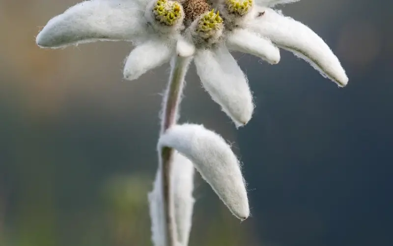 95后婚姻观曝光：选择伴侣最看重的不是有钱，不是外表，而是…