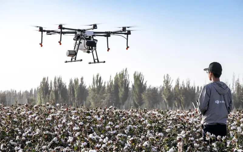 发朋友圈非常走心的一句话短语，每一句都写到心坎里！