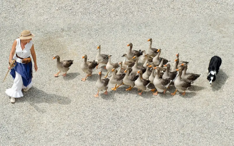 做最坏的打算，至少不会满盘皆输