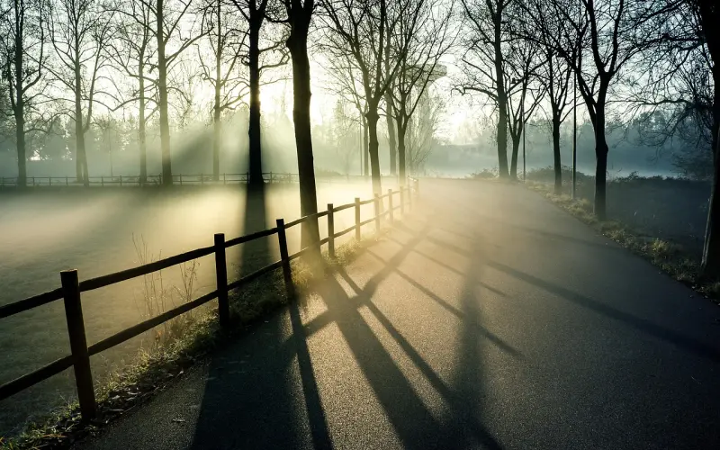 开奖：限量电影票，喊你来拿啊！