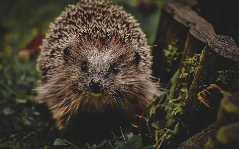 嘘...最刺激相亲活动提前揭秘！