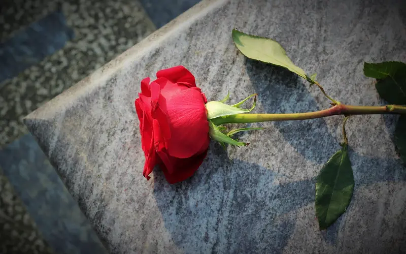 失恋心理治疗：女生失恋了怎么走出来