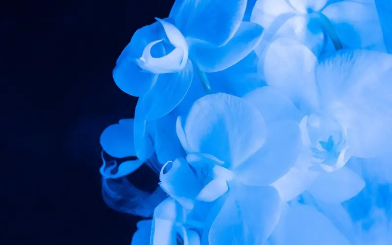 问答|婚姻里一定要保护好男人的归属感