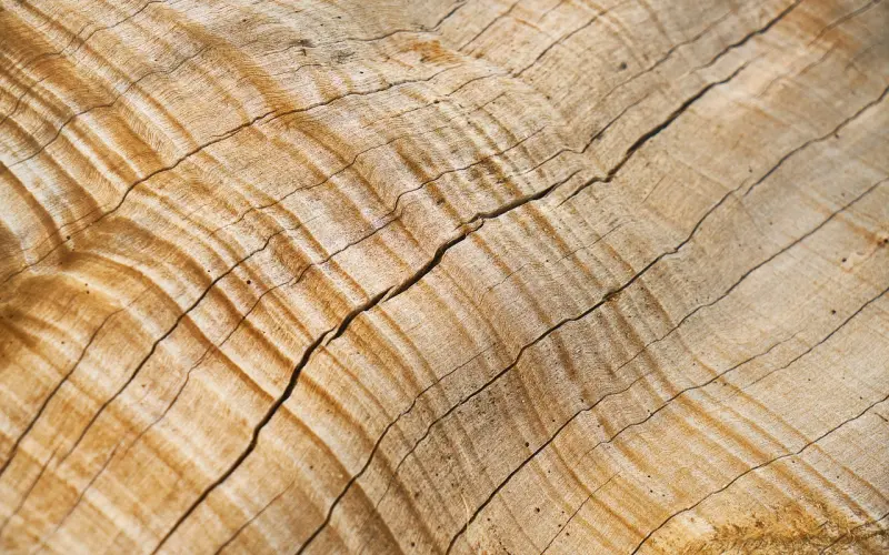 问答|把相爱的人越推越远的沟通方式