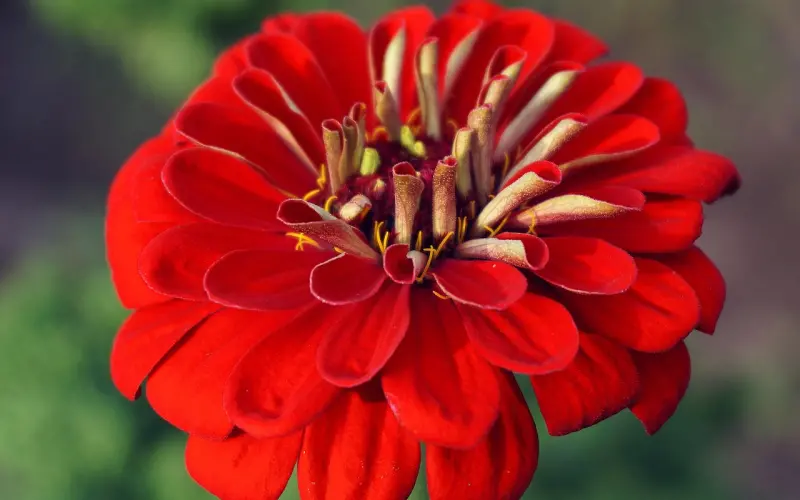 疑爱答情感咨询：为什么对他百依百顺，他依然坚持分手