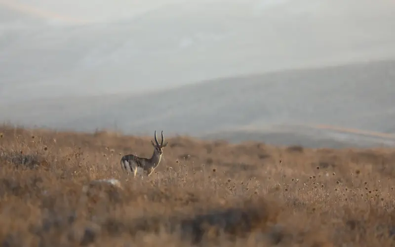 问答 | 判断一个人是否真的对你好，主要看这点