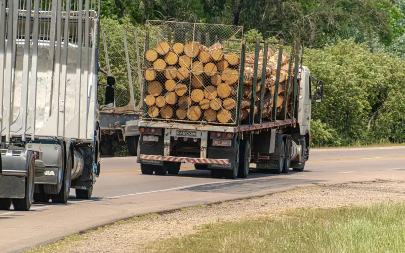 快！测测中秋节哪个明星会陪你赏月？
