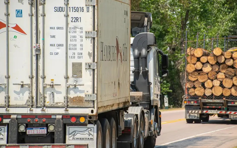 测测 | 你是一个容易心软的老好人吗？