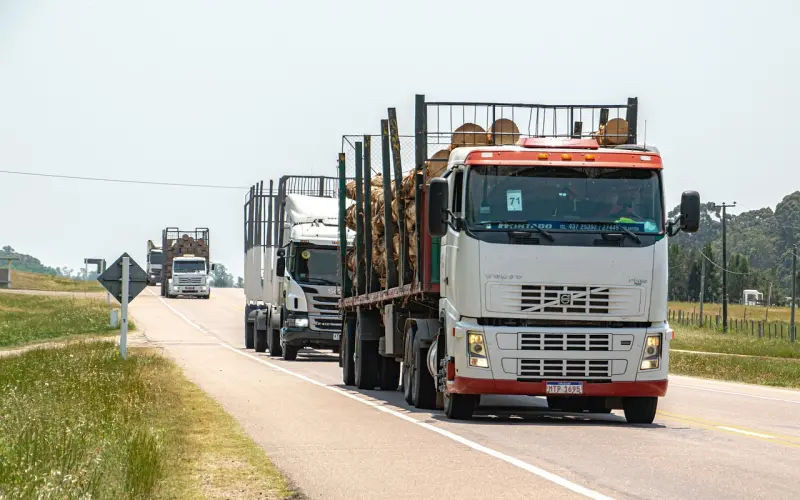 测测 | 你被一见钟情的可能性有多高？