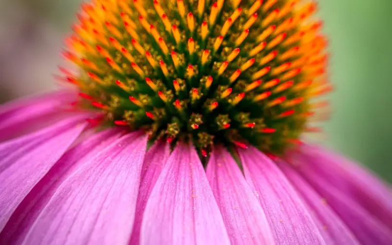 真人案例丨为什么99%的离婚都是因为小事？