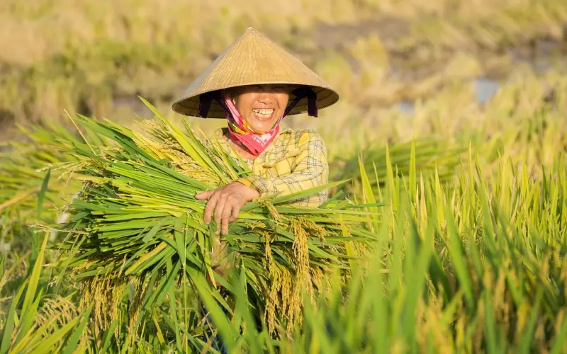 真正的富有，是你脸上的微笑