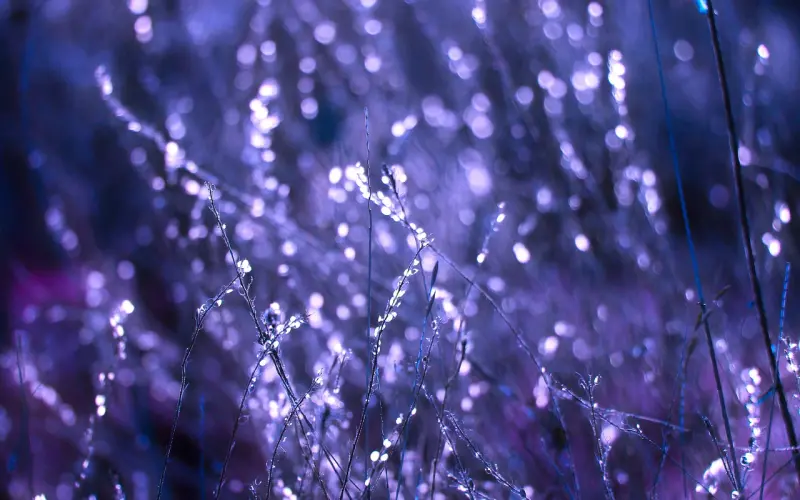 领奖啦！| 七夕情侣晒合照赢礼品结果公布