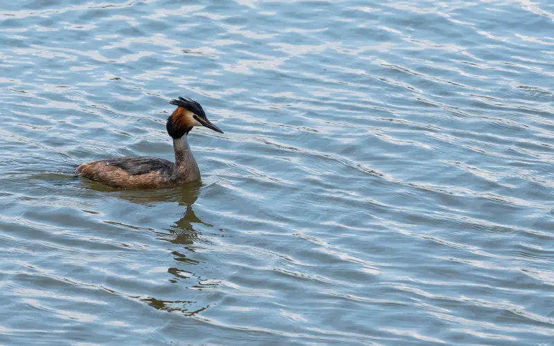 挽回爱情的句子推荐：‍‍一句话就能挽回爱情