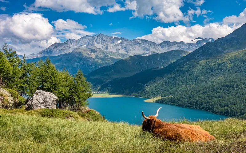 谈资推荐丨校长再登热搜榜，2018最牛X的表情包！