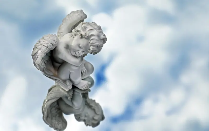 谈资推荐丨丑与胖无关，抖音小姐姐靠着天使脸火了