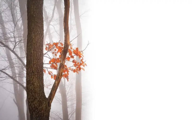 挽回男友的黄金时期