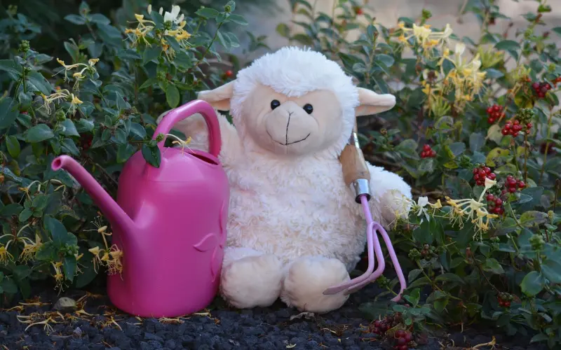 挽回白羊座老公：老公执意要离婚该怎么挽回