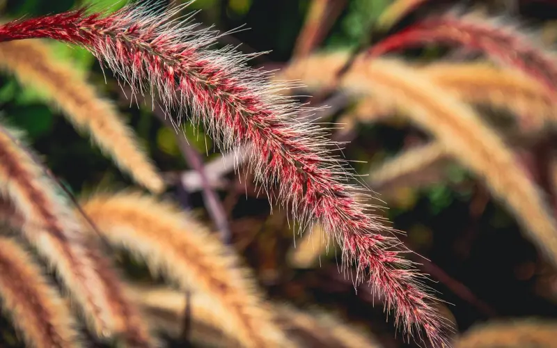 （挽回男友）沧海一粟咨询体会