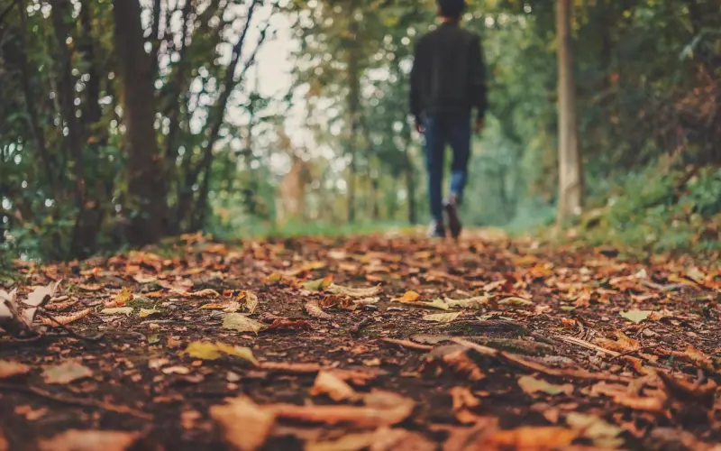 （挽回男友）秋风起咨询体会