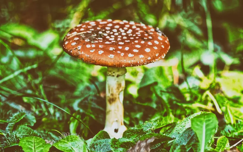 挽回技巧：女人要想挽回一个男人：你得做到这三点