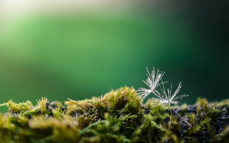 挽回攻略：假性分手的挽回思路