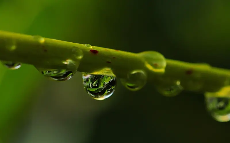 征集情侣演员啦！微剧拍摄等你来报名！
