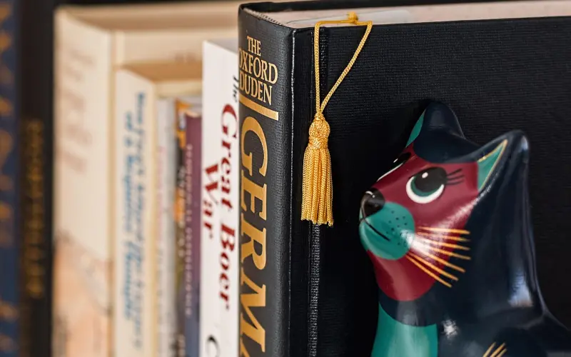 参考：一份完整的婚姻修复指导方案