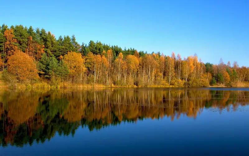 关于出轨，这才是最好的处理方式