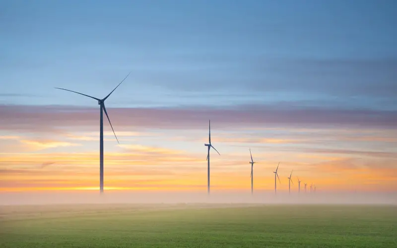 关于伴侣的选择，这篇问答可能颠覆你的认知