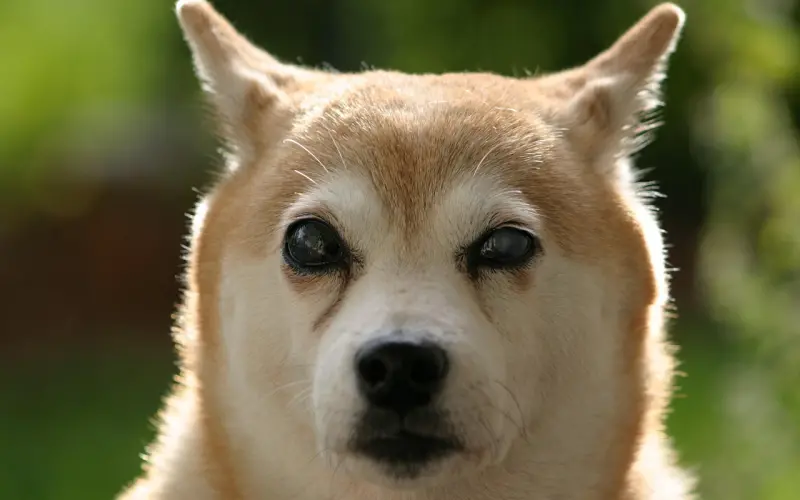 挽回时切记不要盲目断联