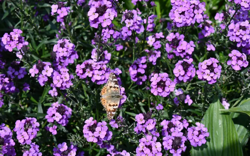 刘若英的夫妻相处之道，成就最美丽婚姻