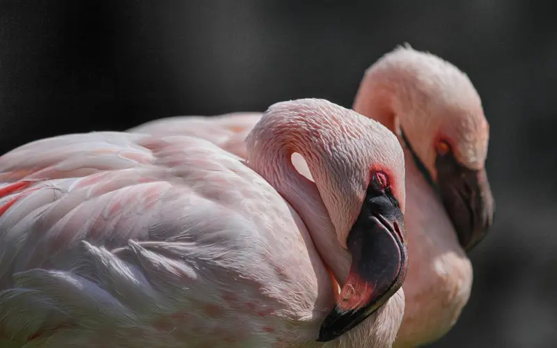 复合永远不是没有原因的——近期部分成功案例集锦