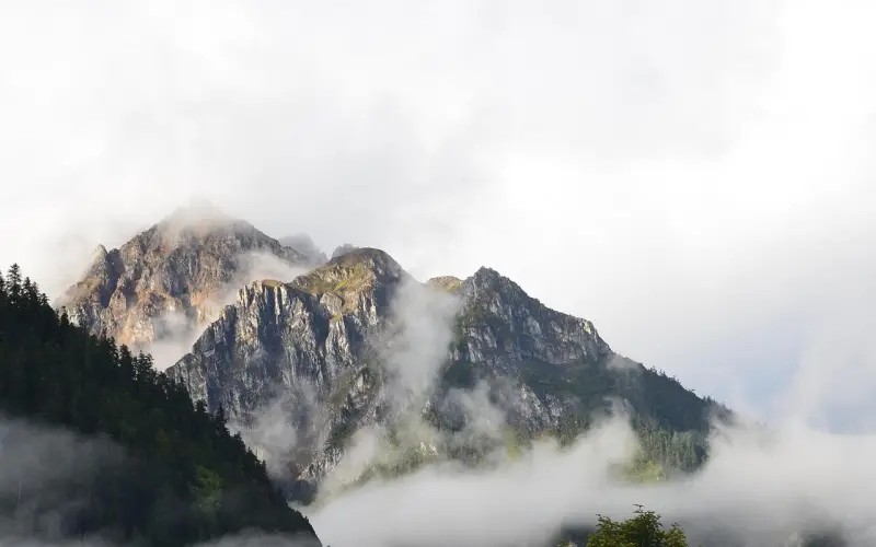 贸然去挽回只会使她走远，如何做好挽回前的准备？