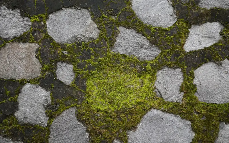 挽回着挽回着，你是不是都忘了一些事情，重要的事情