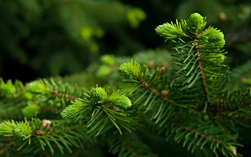 挽回爱情，简单让你读懂男人心
