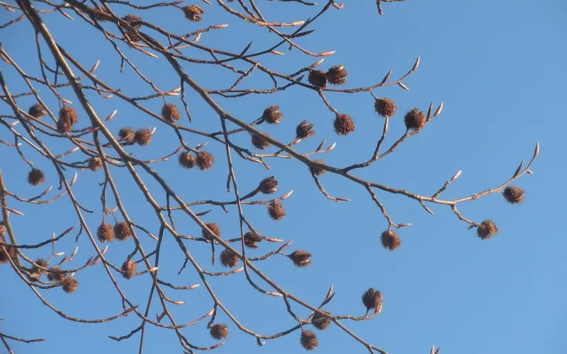 挽回爱情，简单让你读懂男人心