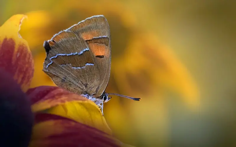 挽回爱情公司之“挽回爱情宝典”