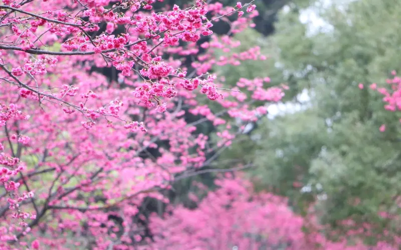 挽回女友：在一起四年，她却把我当成备胎