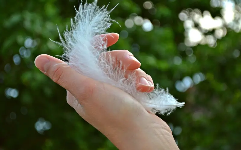 10点说晚安，凌晨赞朋友圈，她在骗你么？