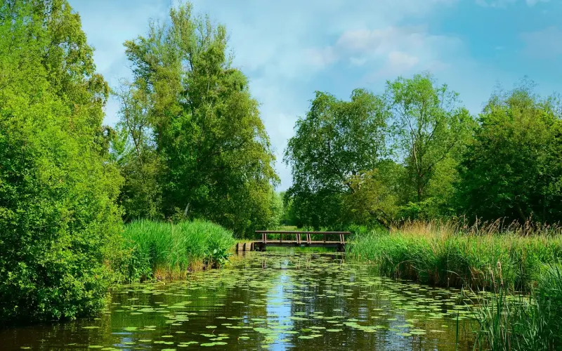 告别跪舔！学会这样聊天，轻松“撩湿”女生