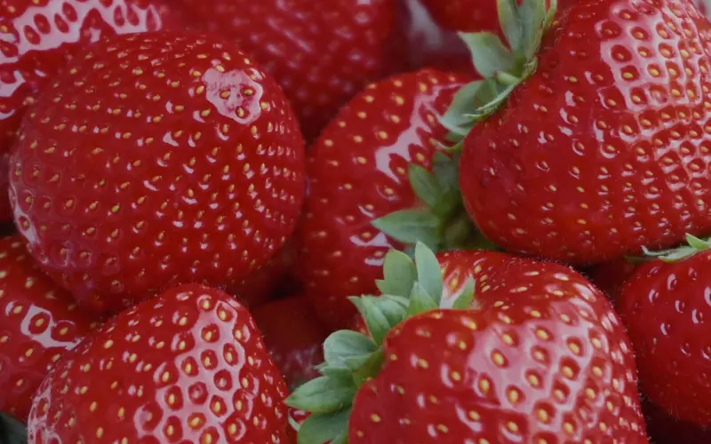 渣男/渣女求复合——拉出来的屎，你会再捡起来吗？