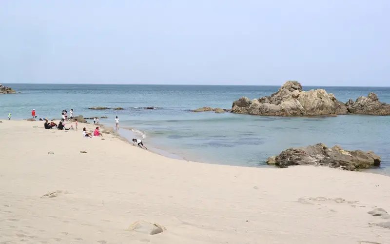 挽回爱情秘籍：察言观色最重要