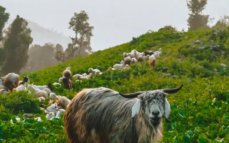 挽回丈夫秘籍分享：在婚姻里如何让对方爱上回家