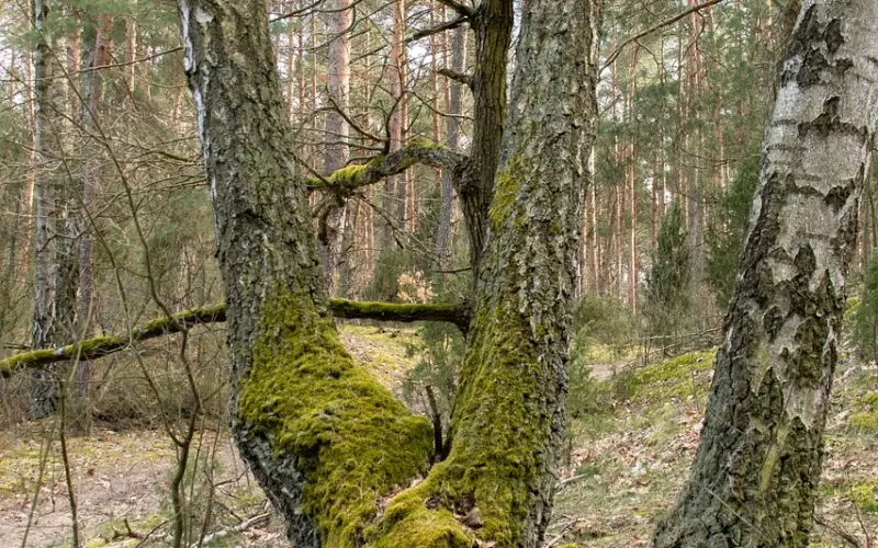 挽回老公的秘籍：学会正确方法，对症下药，挽回老公