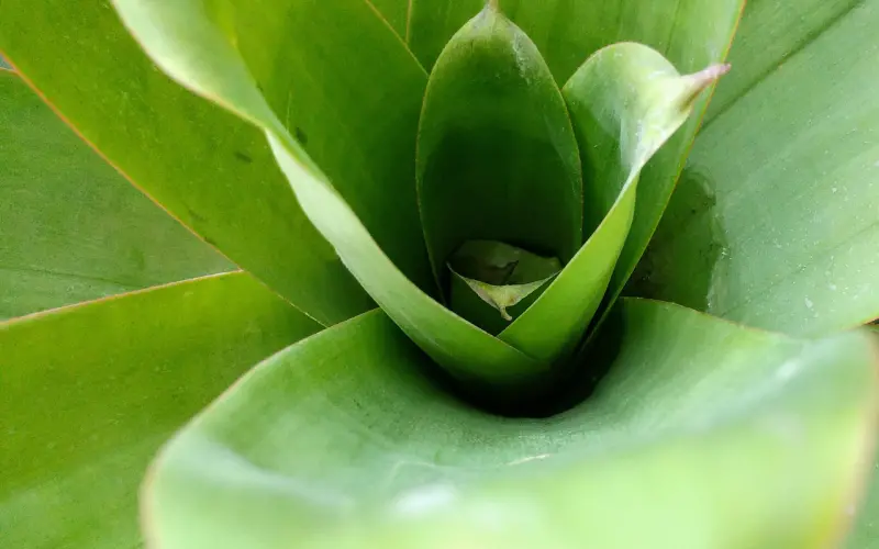 看清男人在关系中的铠甲与软肋，你会更懂他