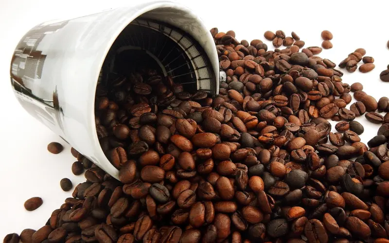 看清，别揭穿， 讨厌，不翻脸！