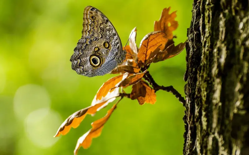 看透男生的9种伪装表情